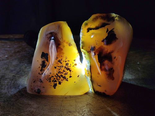 Polished One Side Dendritic Agate Standing Free Forms x 6 From Moralambo, Madagascar - Toprock Gemstones and Minerals 