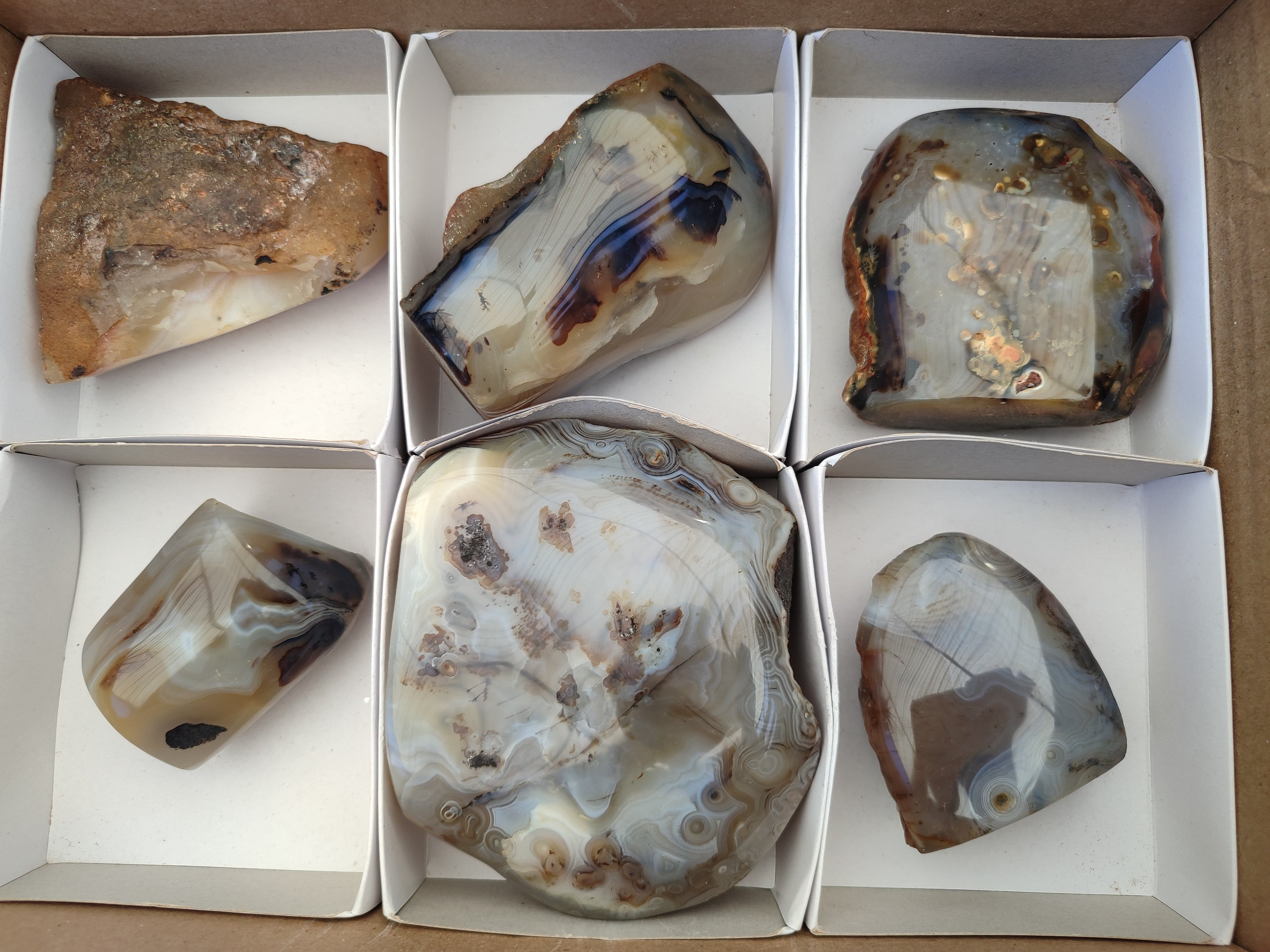 Polished One Side Dendritic Agate Standing Free Forms x 6 From Moralambo, Madagascar - Toprock Gemstones and Minerals 