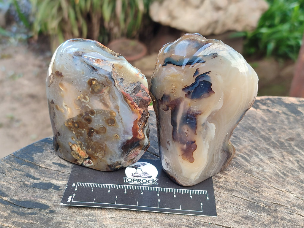 Polished One Side Dendritic Agate Standing Free Forms x 6 From Moralambo, Madagascar - Toprock Gemstones and Minerals 