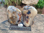 Polished One Side Dendritic Agate Standing Free Forms x 6 From Moralambo, Madagascar - Toprock Gemstones and Minerals 