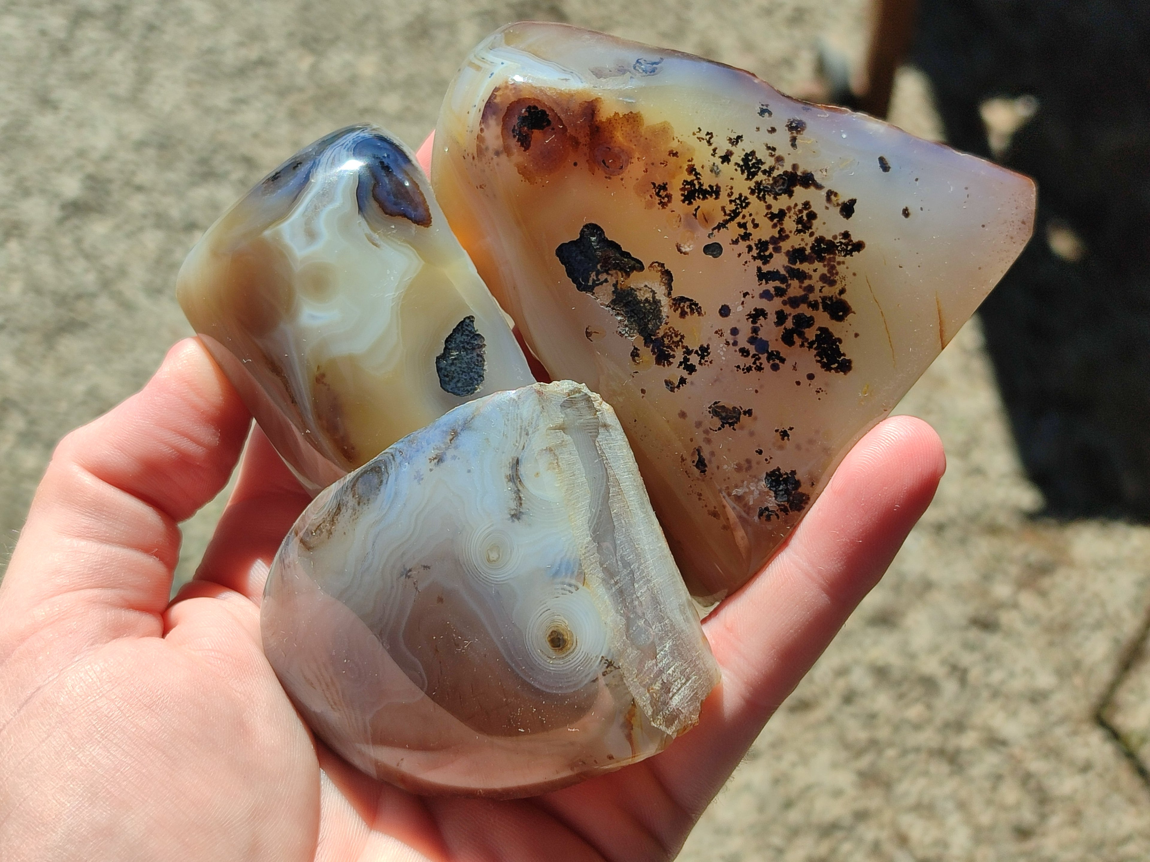 Polished One Side Dendritic Agate Standing Free Forms x 6 From Moralambo, Madagascar - Toprock Gemstones and Minerals 