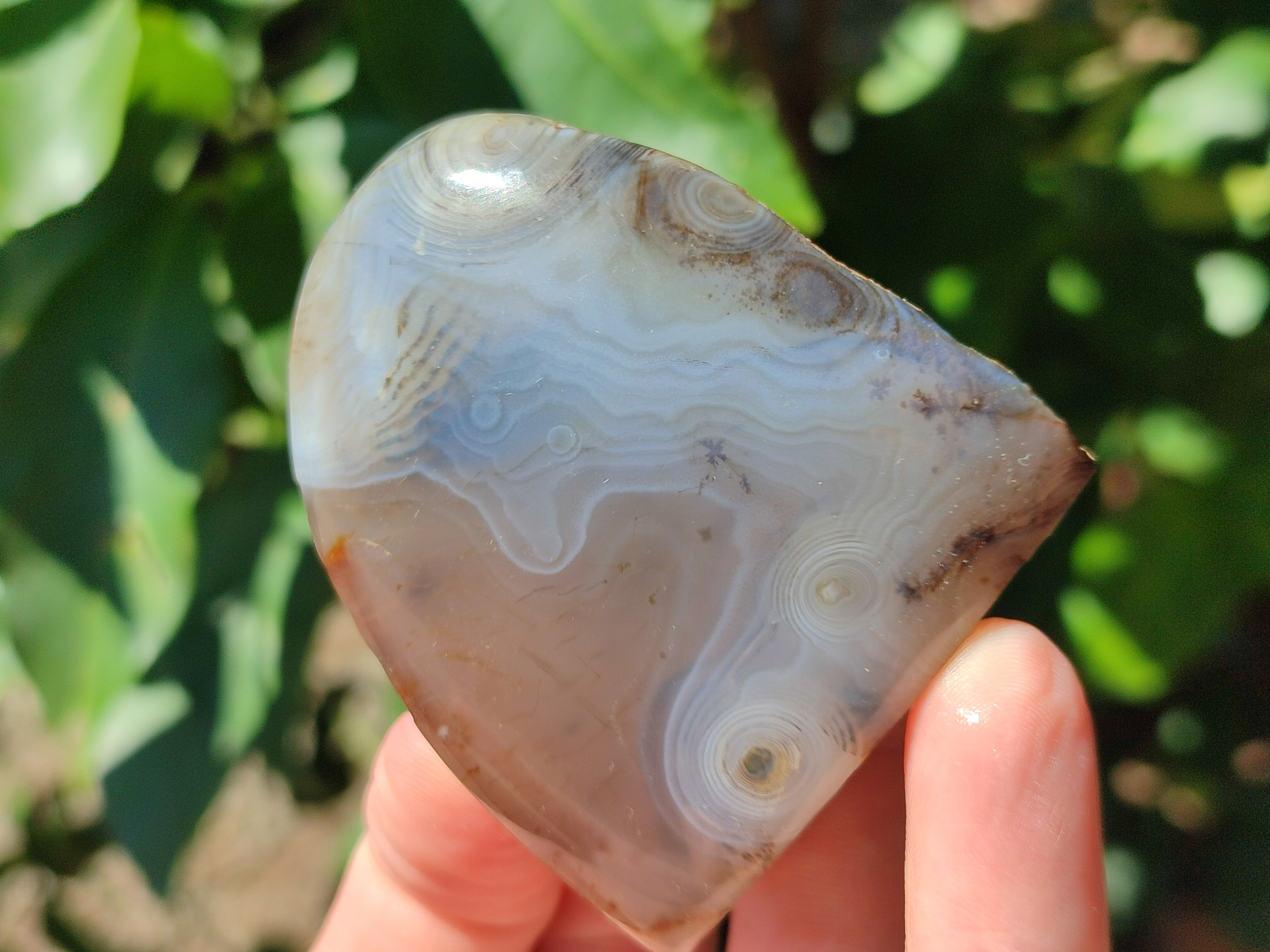 Polished One Side Dendritic Agate Standing Free Forms x 6 From Moralambo, Madagascar - Toprock Gemstones and Minerals 