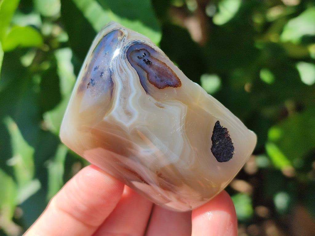 Polished One Side Dendritic Agate Standing Free Forms x 6 From Moralambo, Madagascar - Toprock Gemstones and Minerals 