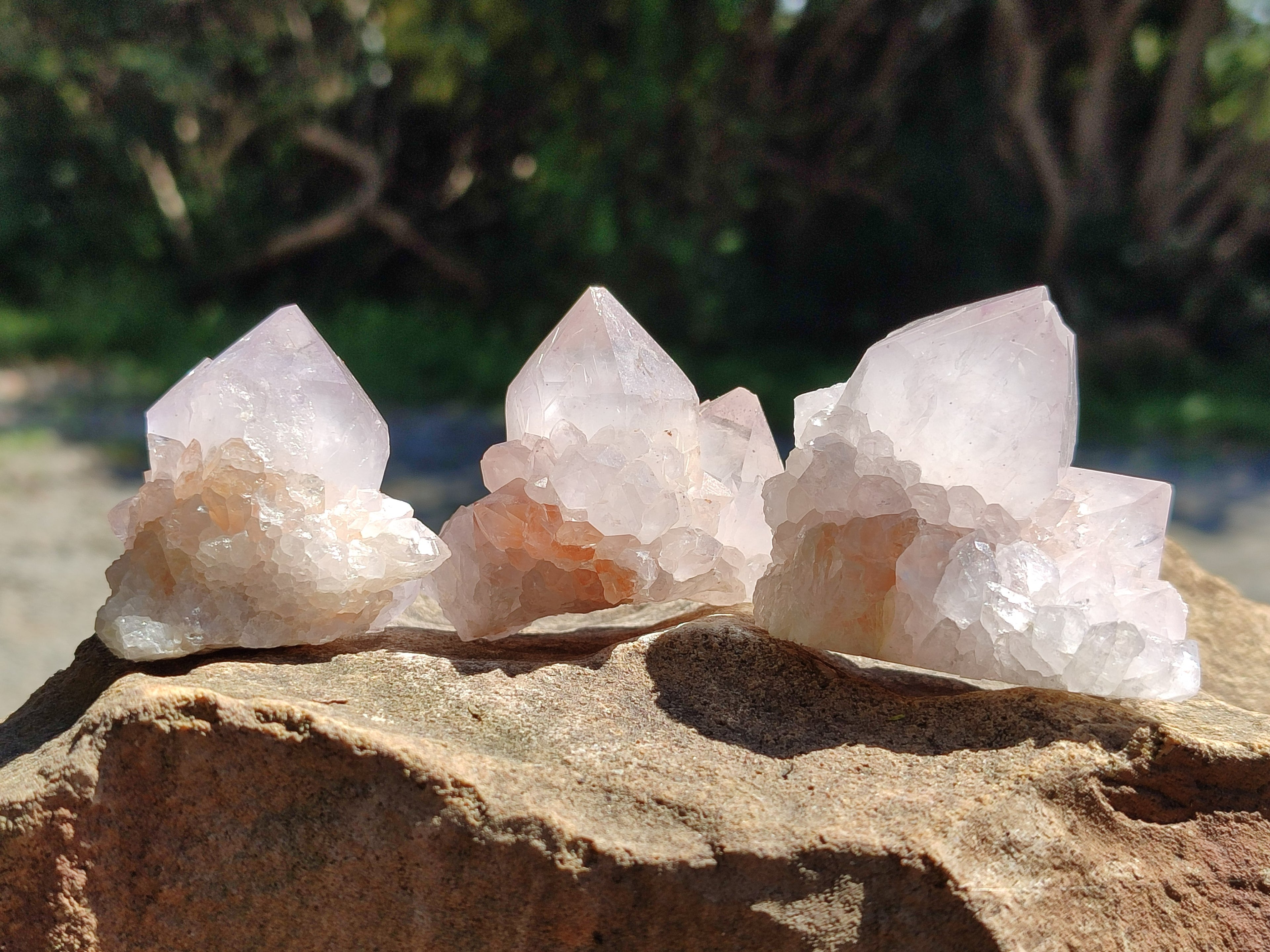 Natural Lilac Spirit Amethyst Cactus Flower Single Quartz Crystals x 12 From Boekenhouthoek, South Africa - Toprock Gemstones and Minerals 