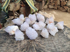 Natural Lilac Spirit Amethyst Cactus Flower Single Quartz Crystals x 12 From Boekenhouthoek, South Africa - Toprock Gemstones and Minerals 