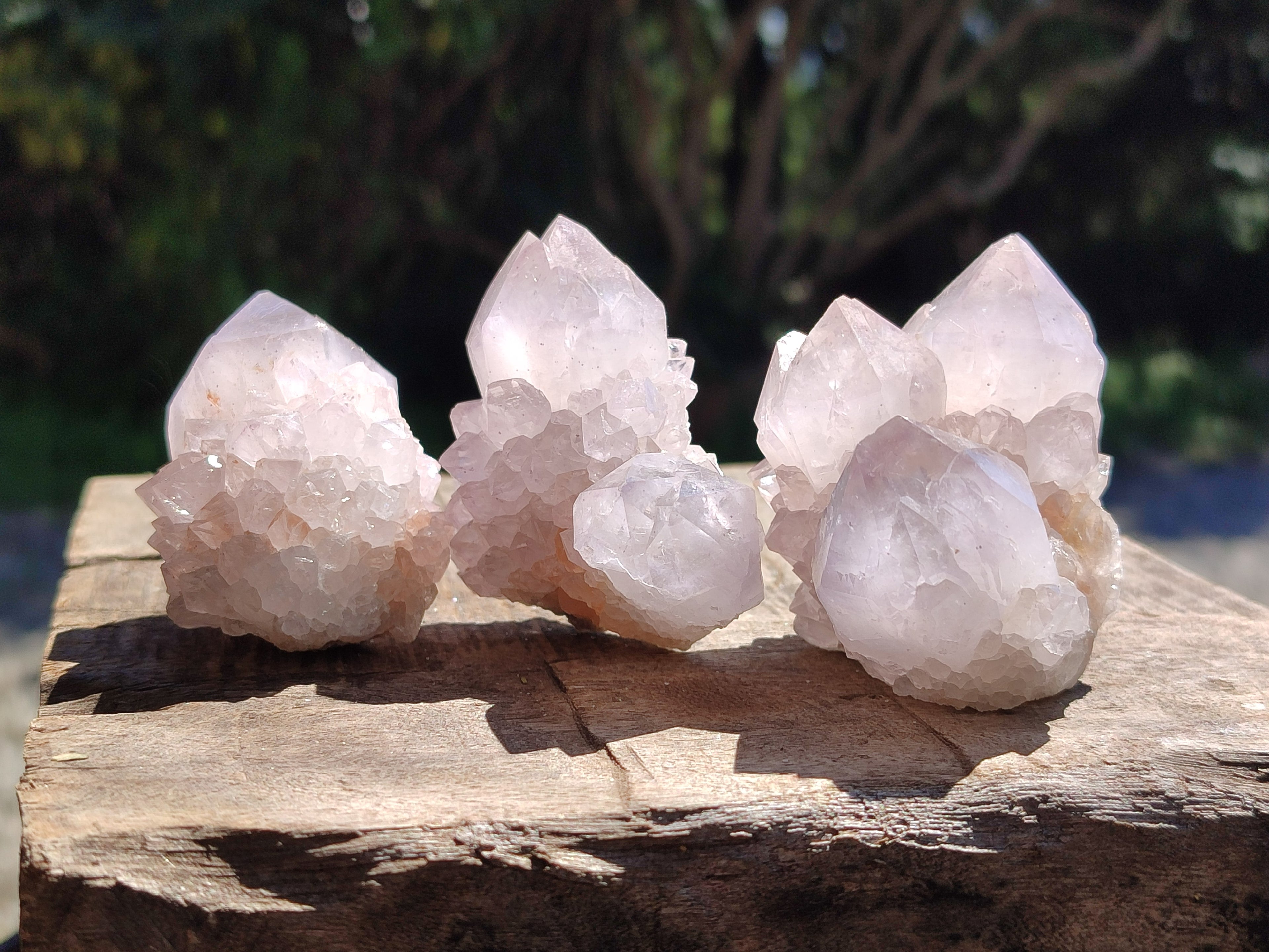 Natural Lilac Spirit Amethyst Cactus Flower Single Quartz Crystals x 12 From Boekenhouthoek, South Africa - Toprock Gemstones and Minerals 
