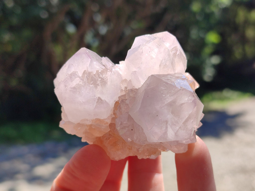 Natural Lilac Spirit Amethyst Cactus Flower Single Quartz Crystals x 12 From Boekenhouthoek, South Africa - Toprock Gemstones and Minerals 