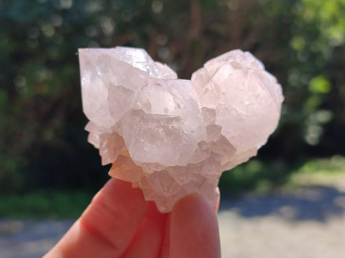 Natural Lilac Spirit Amethyst Cactus Flower Single Quartz Crystals x 12 From Boekenhouthoek, South Africa - Toprock Gemstones and Minerals 