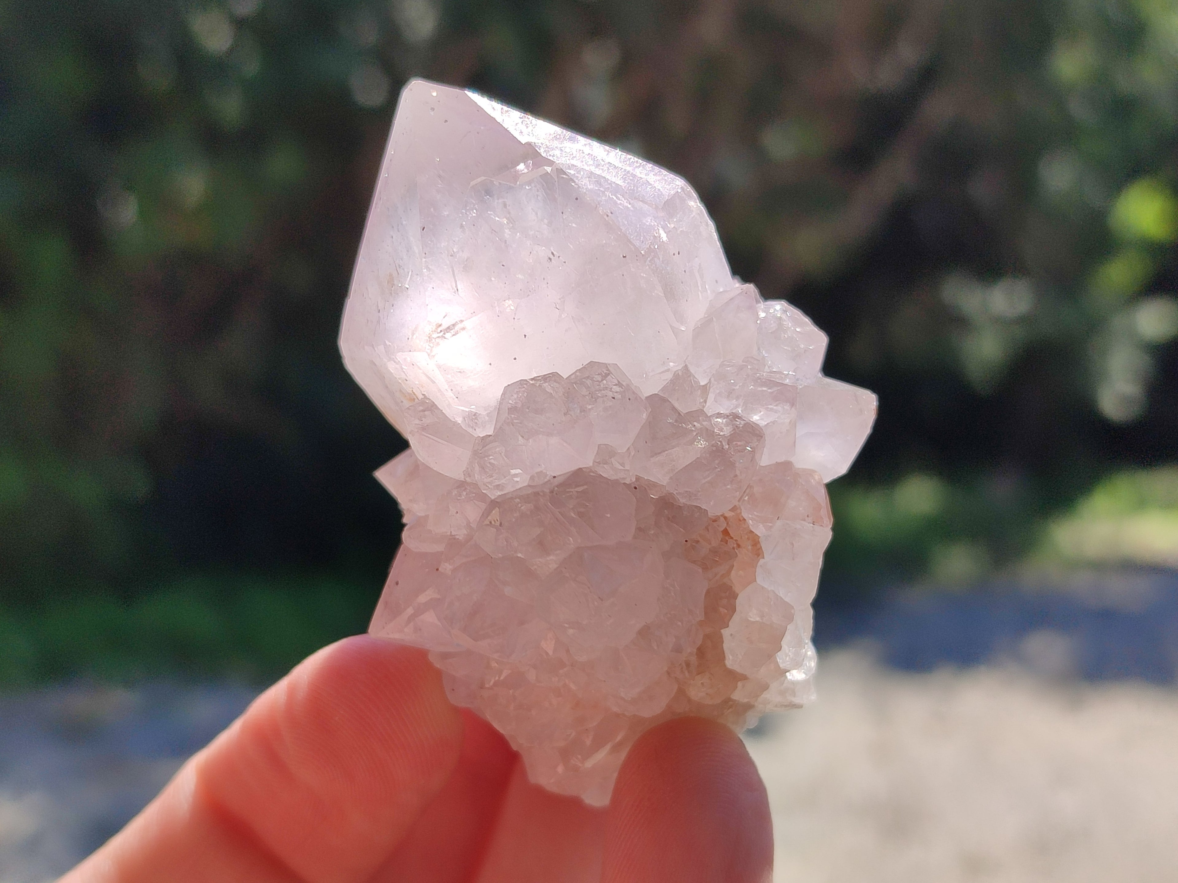 Natural Lilac Spirit Amethyst Cactus Flower Single Quartz Crystals x 12 From Boekenhouthoek, South Africa - Toprock Gemstones and Minerals 
