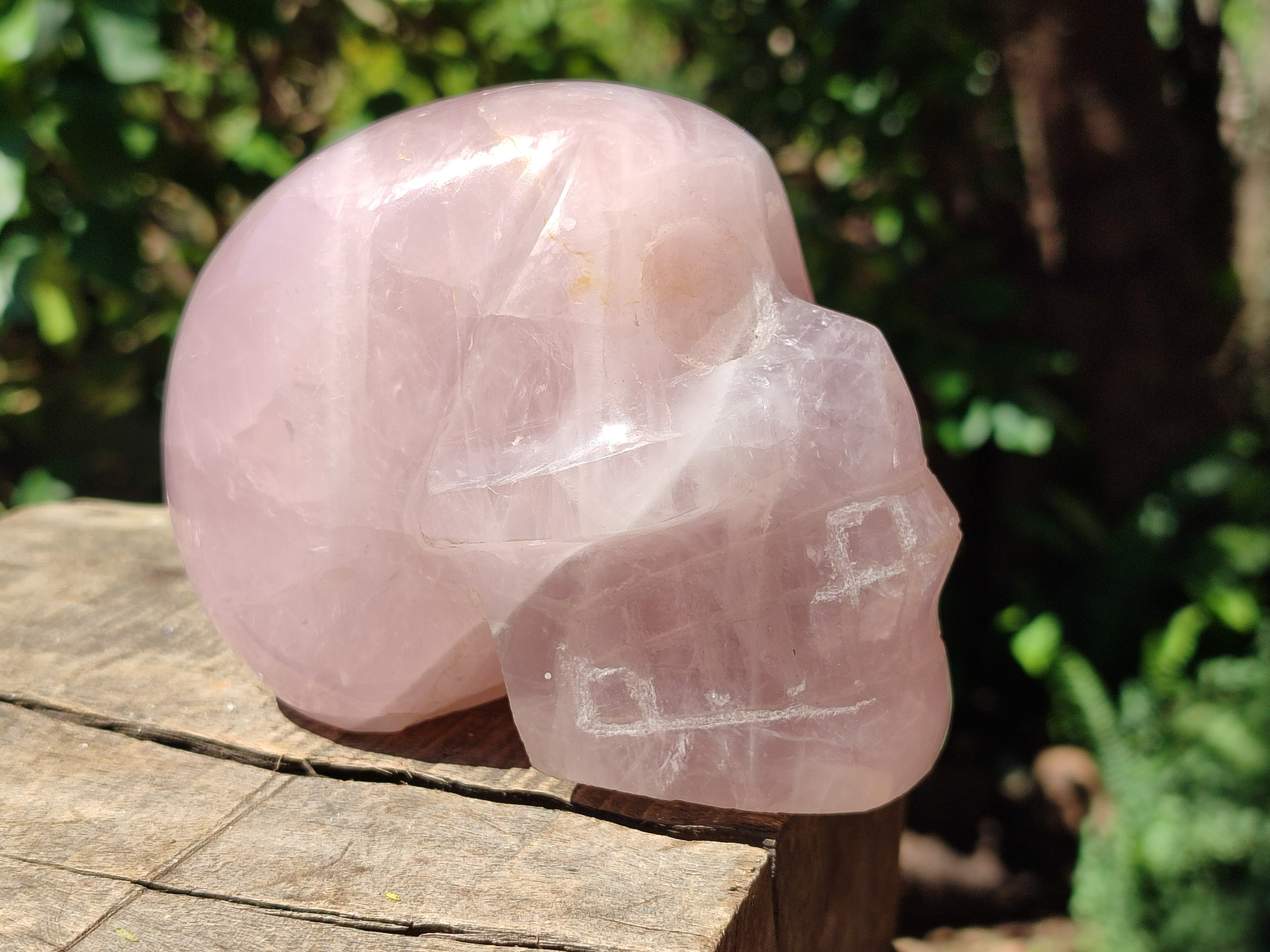 Hand Made Gemmy Rose Quartz Skull Carving x 1 From Madagascar - Toprock Gemstones and Minerals 