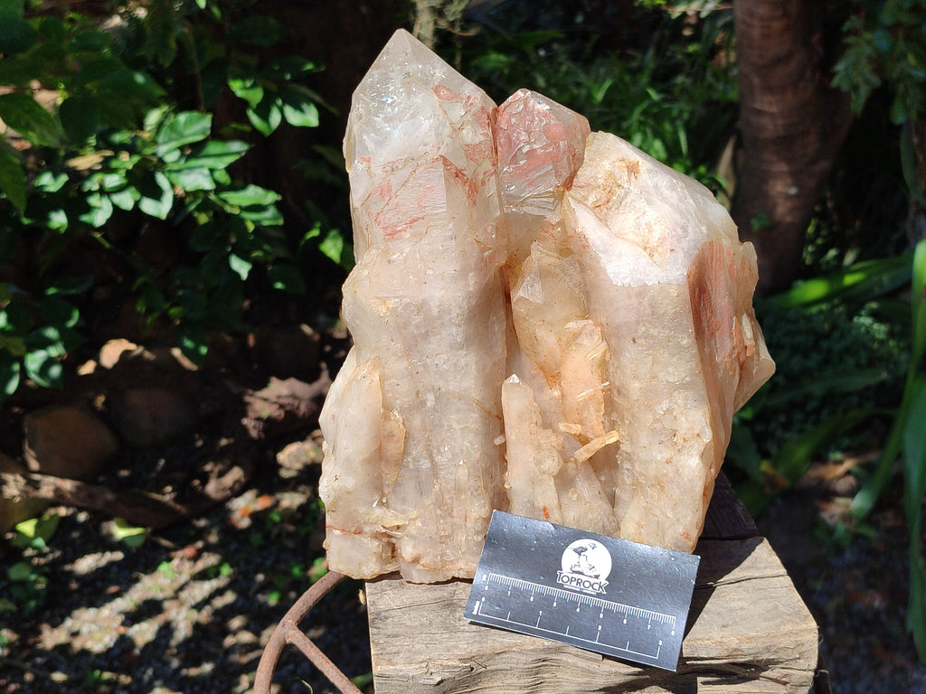 Polished Large Standing Angolian Smokey Quartz Cluster x 1 From Angola - Toprock Gemstones and Minerals 