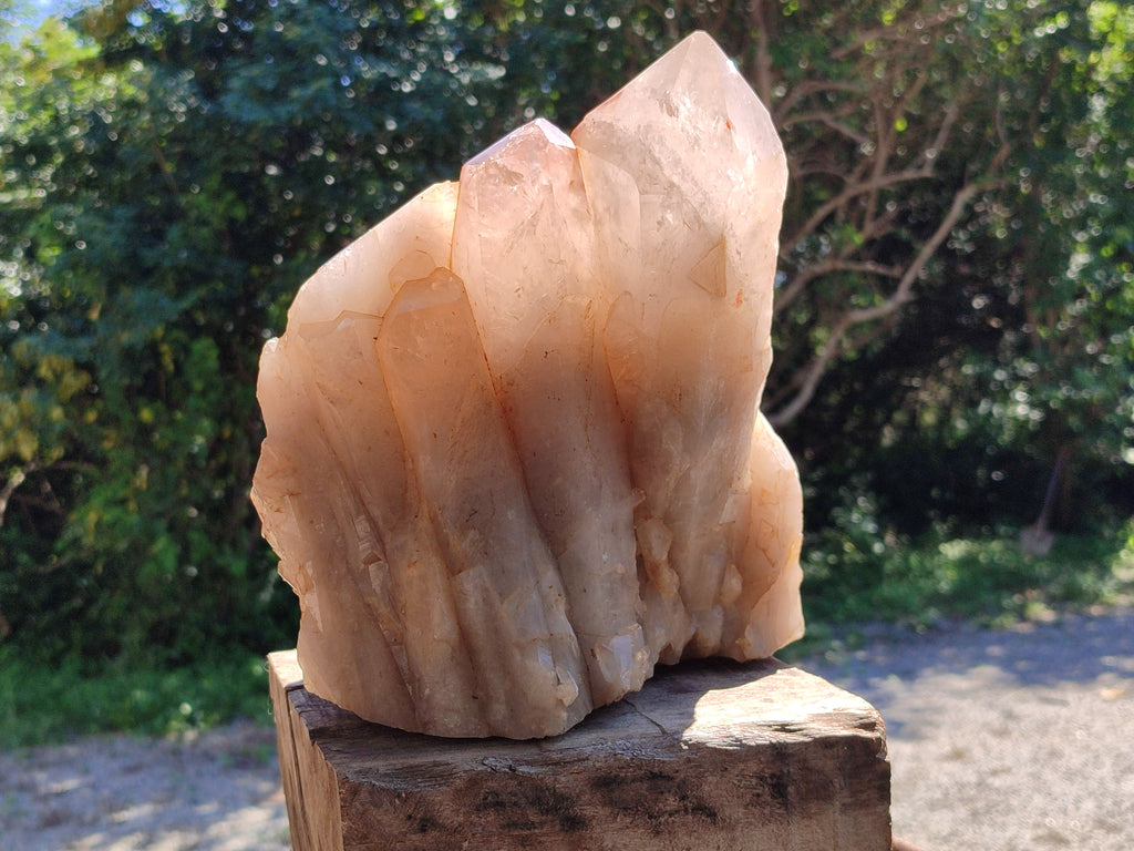 Polished Large Standing Angolian Smokey Quartz Cluster x 1 From Angola - Toprock Gemstones and Minerals 