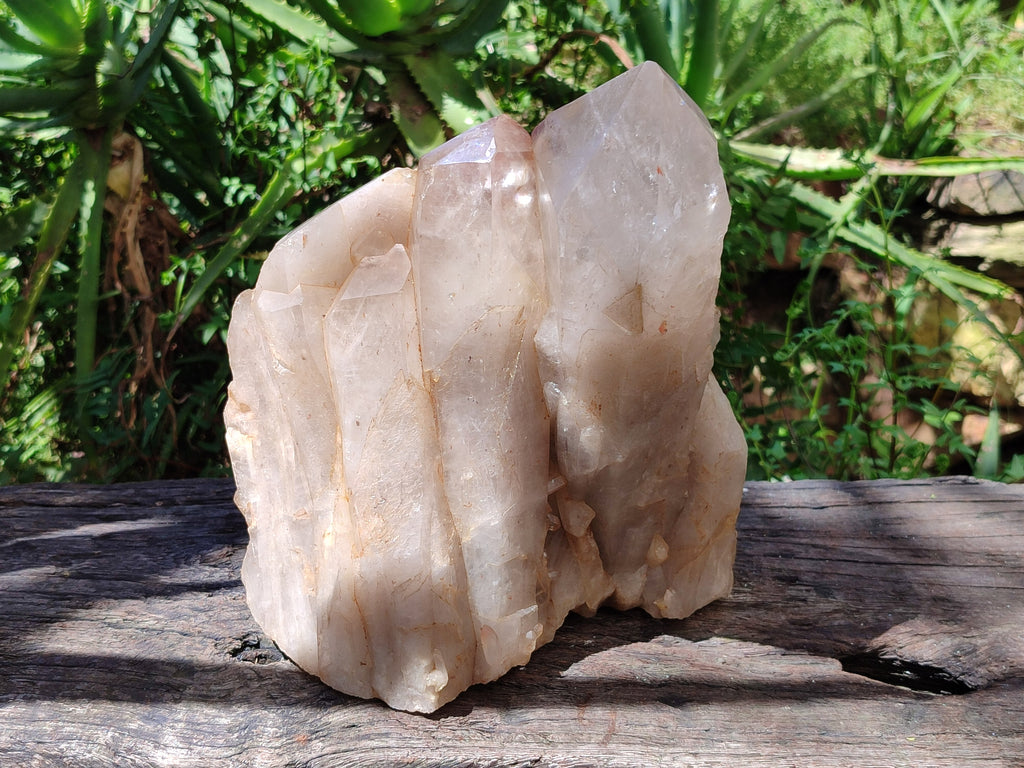 Polished Large Standing Angolian Smokey Quartz Cluster x 1 From Angola - Toprock Gemstones and Minerals 