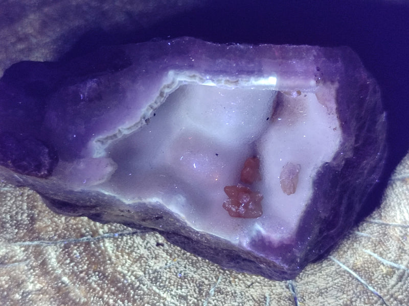 Natural Blue Lace Agate Geode Specimens x 6 From Nsanje, Malawi - Toprock Gemstones and Minerals 