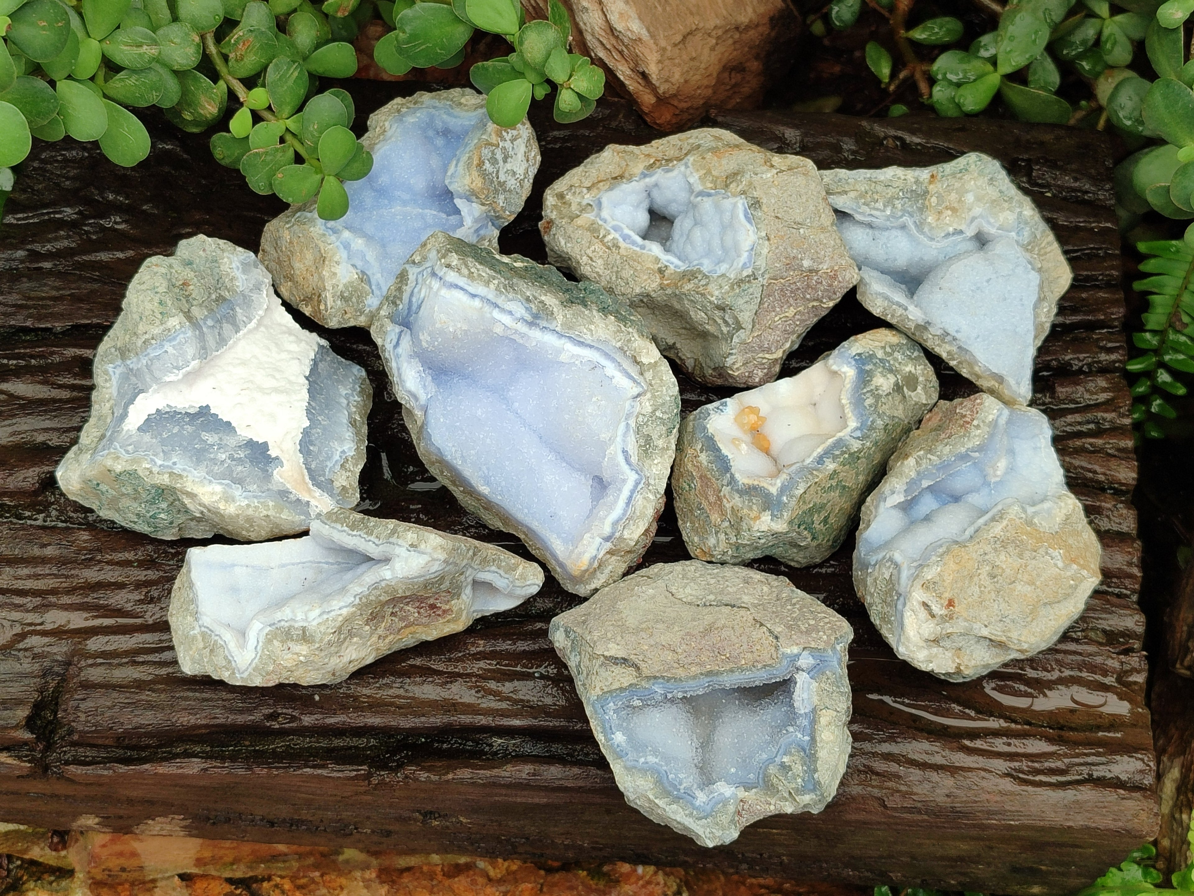 Natural Blue Lace Agate Geode Specimens x 6 From Nsanje, Malawi - Toprock Gemstones and Minerals 