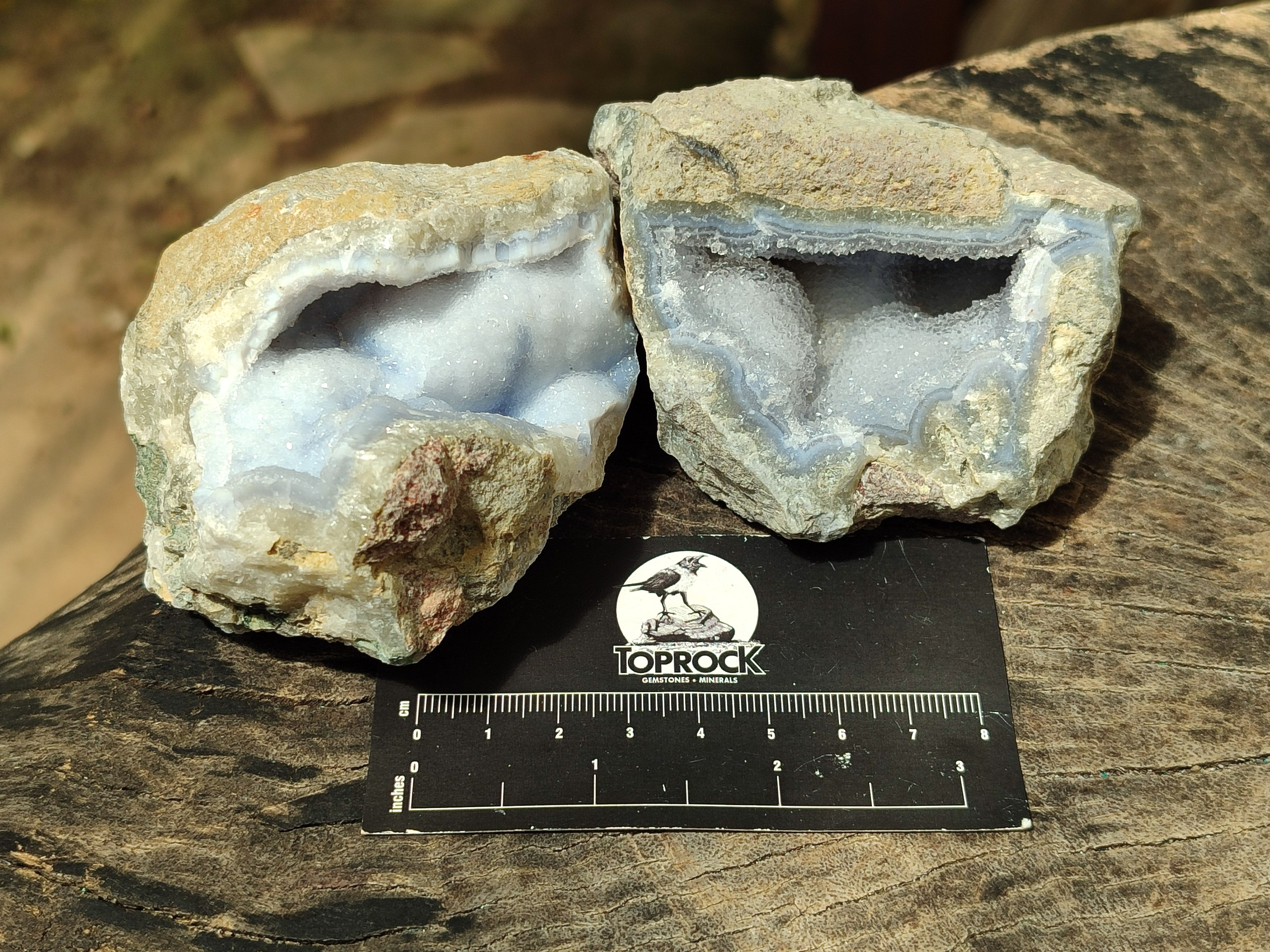 Natural Blue Lace Agate Geode Specimens x 6 From Nsanje, Malawi - Toprock Gemstones and Minerals 