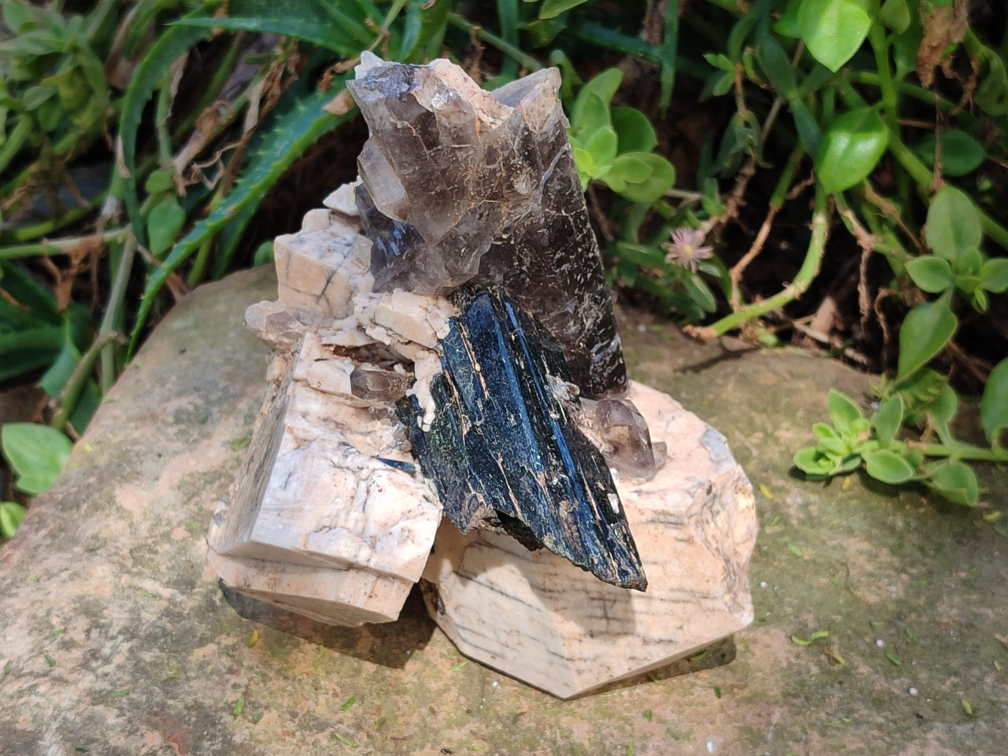 Natural Smokey Quartz with Aegirine and Feldspar Clusters x 3 From Zomba Plateau, Malawi - Toprock Gemstones and Minerals 