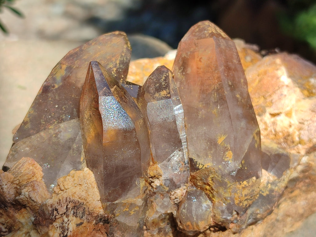 Natural Smokey Quartz with Aegirine and Feldspar Clusters x 3 From Zomba Plateau, Malawi - Toprock Gemstones and Minerals 