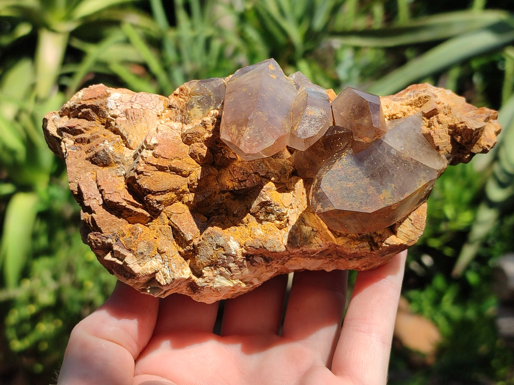 Natural Smokey Quartz with Aegirine and Feldspar Clusters x 3 From Zomba Plateau, Malawi - Toprock Gemstones and Minerals 