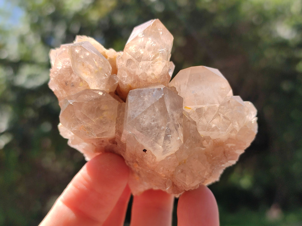 Natural Smokey Phantom Quartz Clusters x 6 From Luena, Congo - Toprock Gemstones and Minerals 