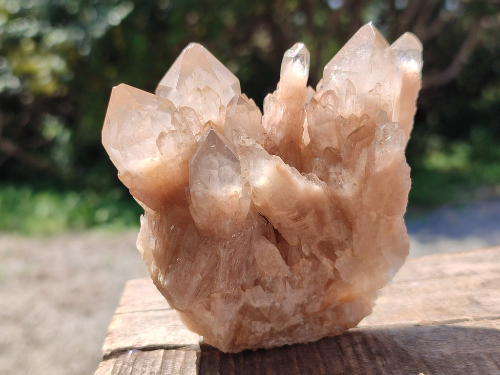 Natural Smokey Phantom Quartz Clusters x 6 From Luena, Congo - Toprock Gemstones and Minerals 