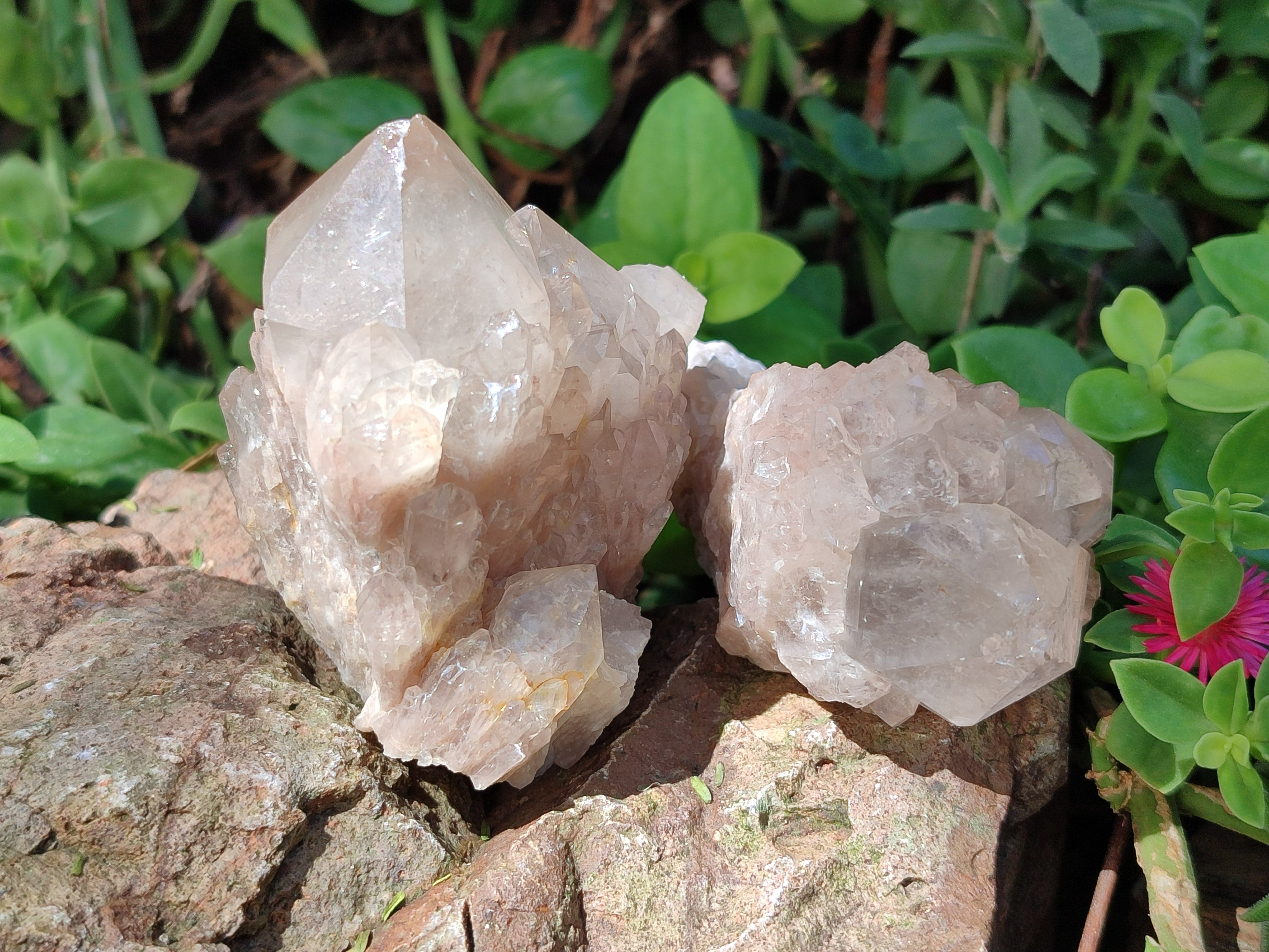 Natural Smokey Phantom Quartz Clusters x 6 From Luena, Congo - Toprock Gemstones and Minerals 