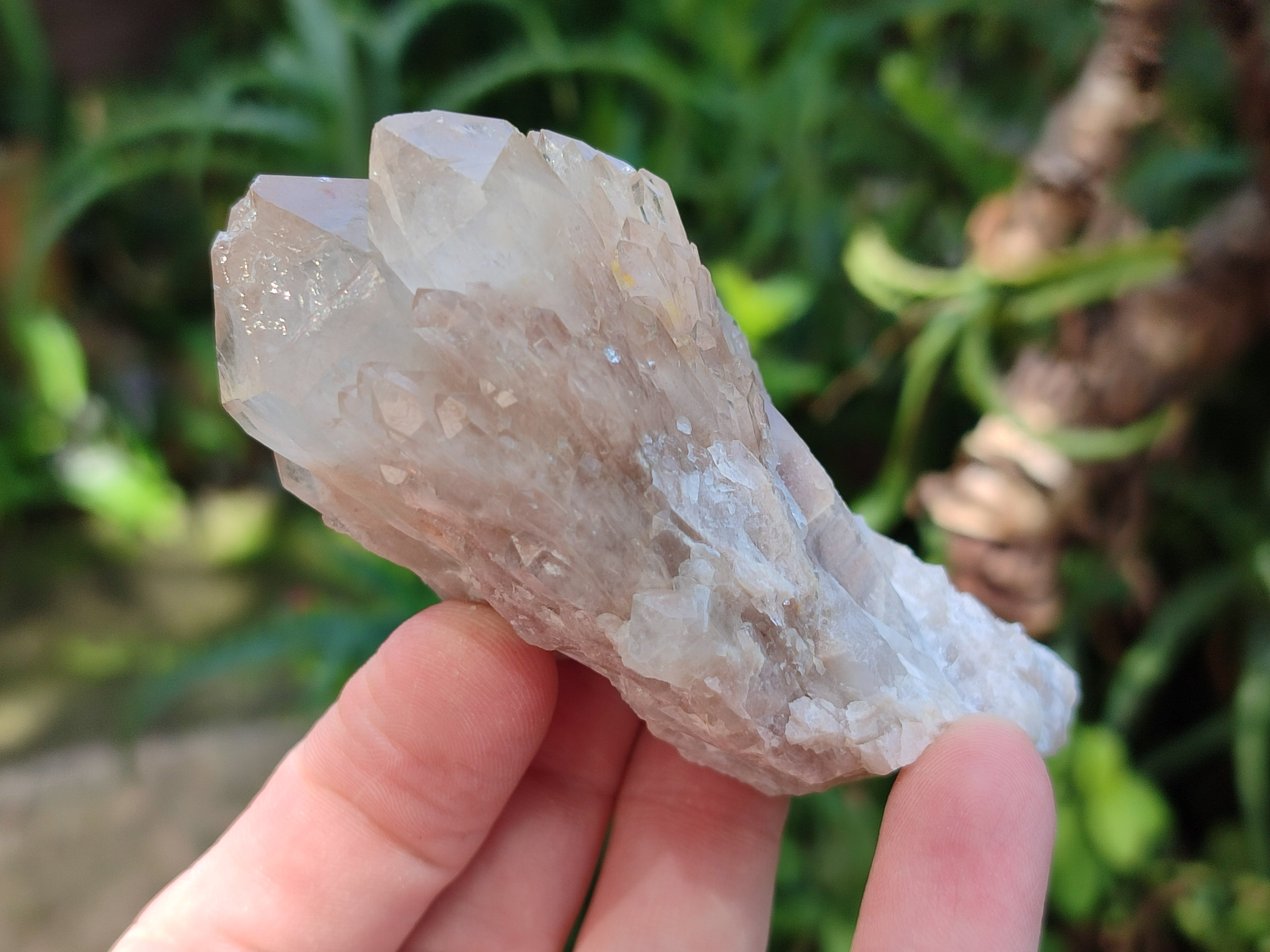Natural Smokey Phantom Quartz Clusters x 6 From Luena, Congo - Toprock Gemstones and Minerals 