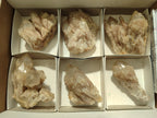 Natural Smokey Phantom Quartz Clusters x 6 From Luena, Congo - Toprock Gemstones and Minerals 