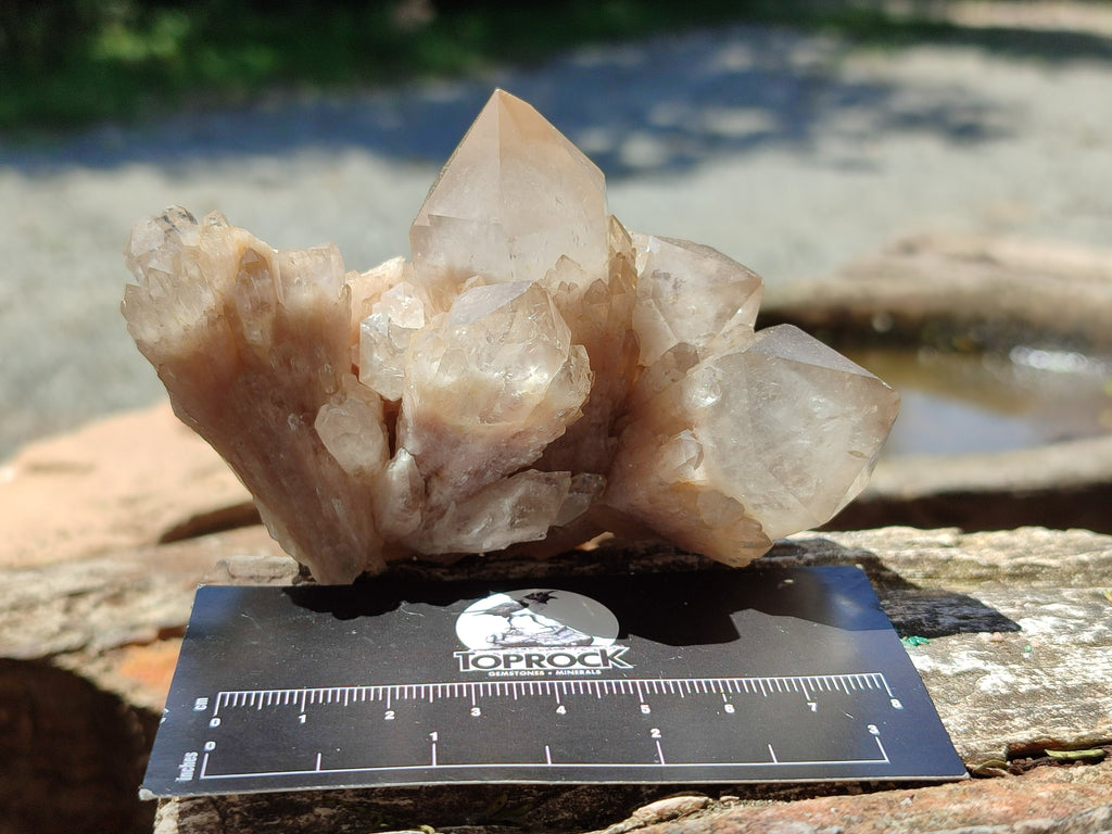 Natural Smokey Phantom Quartz Clusters x 6 From Luena, Congo - Toprock Gemstones and Minerals 