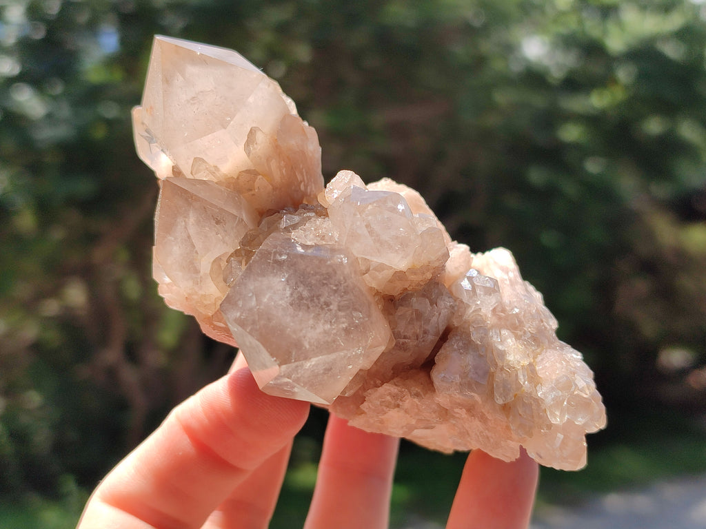 Natural Smokey Phantom Quartz Clusters x 6 From Luena, Congo - Toprock Gemstones and Minerals 