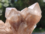 Natural Smokey Phantom Quartz Clusters x 6 From Luena, Congo - Toprock Gemstones and Minerals 