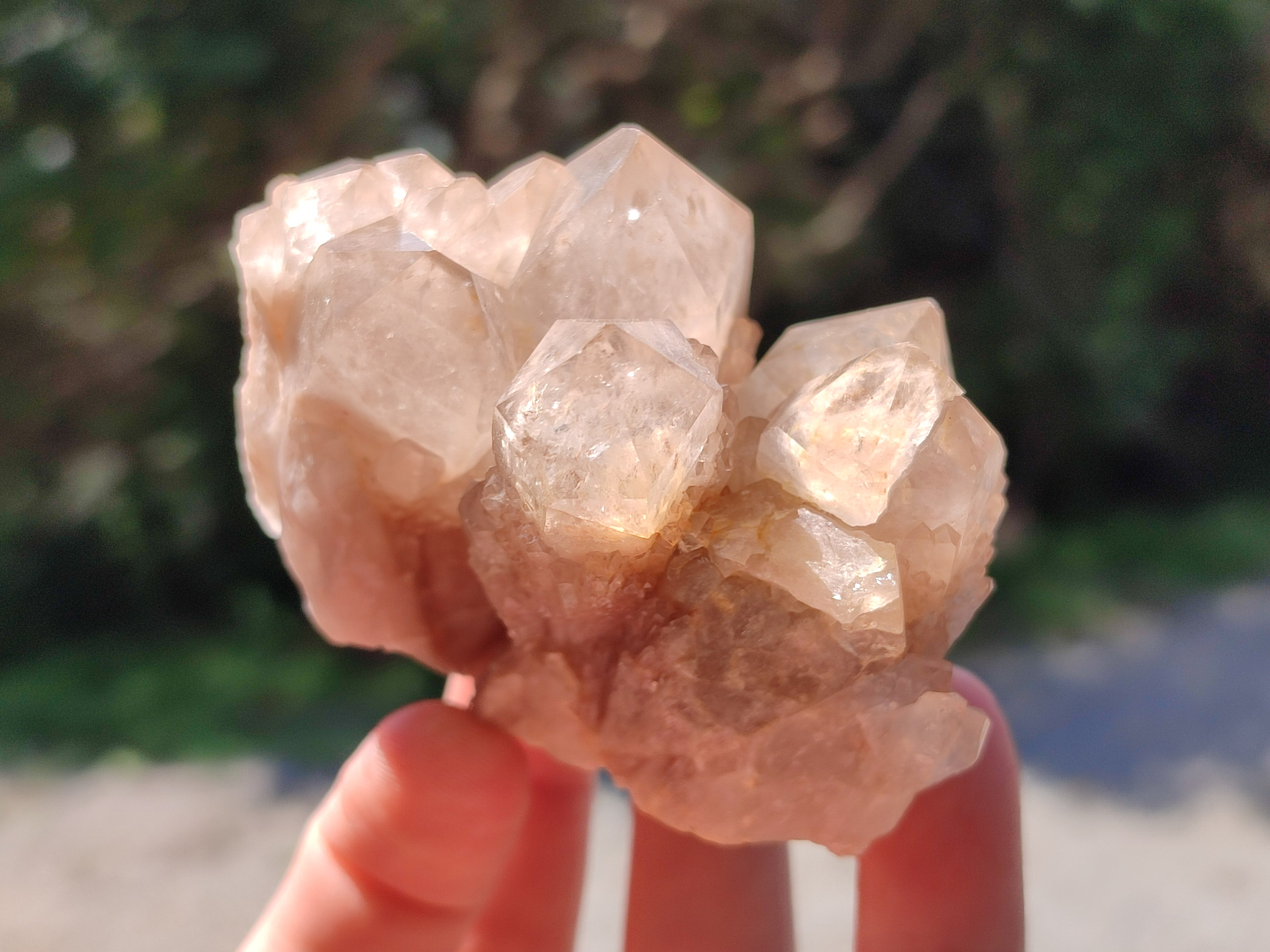 Natural Smokey Phantom Quartz Clusters x 6 From Luena, Congo - Toprock Gemstones and Minerals 