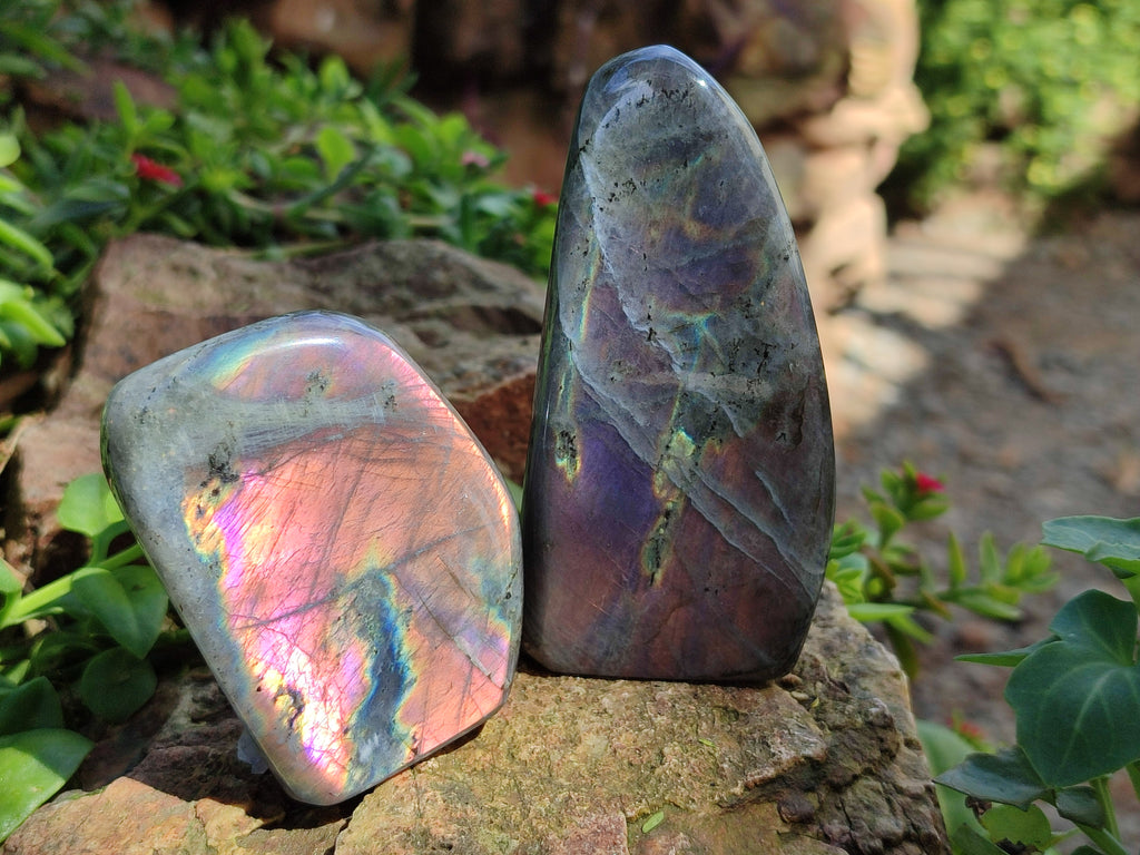 Polished Rare Purple Sunset Flash Labradorite Standing Free Forms x 6 From Madagascar - Toprock Gemstones and Minerals 