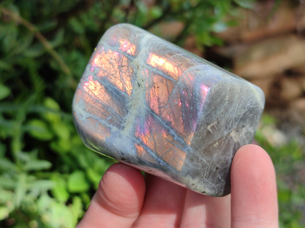 Polished Rare Purple Sunset Flash Labradorite Standing Free Forms x 6 From Madagascar - Toprock Gemstones and Minerals 