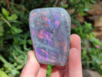Polished Rare Purple Sunset Flash Labradorite Standing Free Forms x 6 From Madagascar - Toprock Gemstones and Minerals 