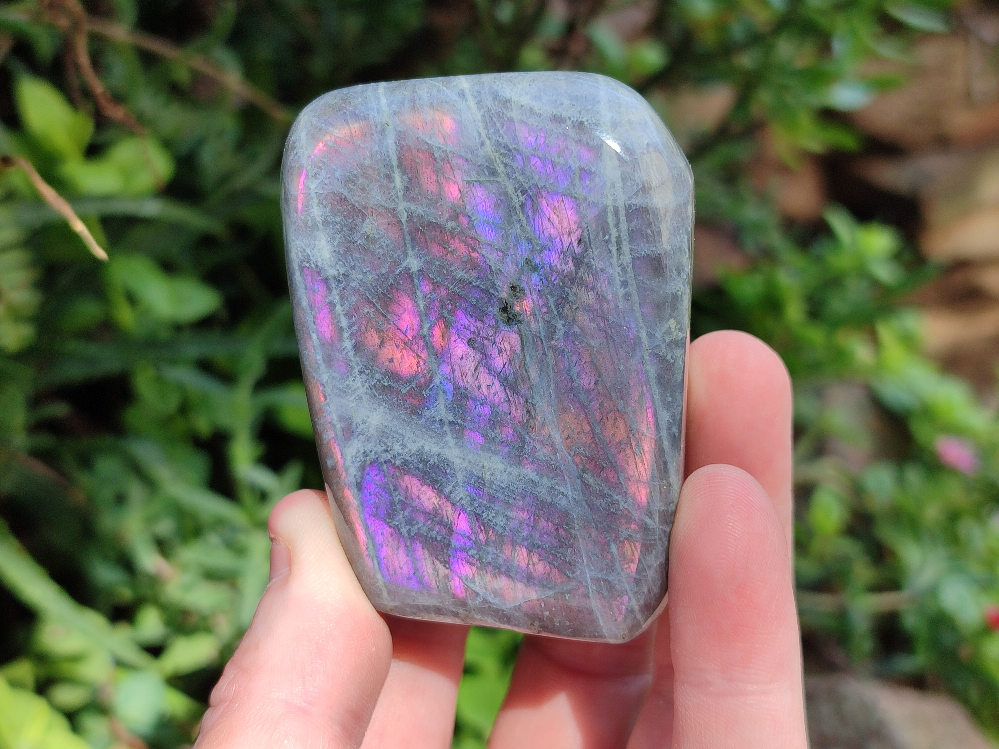 Polished Rare Purple Sunset Flash Labradorite Standing Free Forms x 6 From Madagascar - Toprock Gemstones and Minerals 