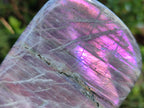 Polished Rare Purple Sunset Flash Labradorite Standing Free Forms x 6 From Madagascar - Toprock Gemstones and Minerals 