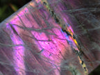 Polished Rare Purple Sunset Flash Labradorite Standing Free Forms x 6 From Madagascar - Toprock Gemstones and Minerals 