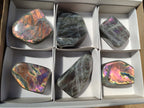 Polished Rare Purple Sunset Flash Labradorite Standing Free Forms x 6 From Madagascar - Toprock Gemstones and Minerals 