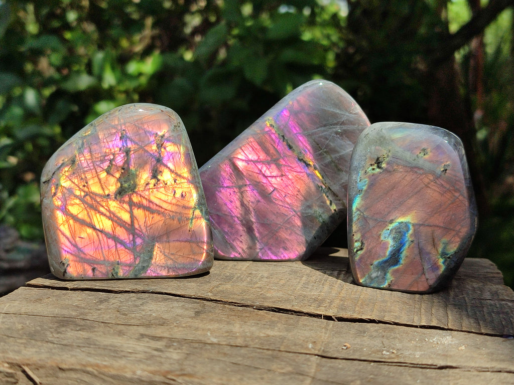 Polished Rare Purple Sunset Flash Labradorite Standing Free Forms x 6 From Madagascar - Toprock Gemstones and Minerals 