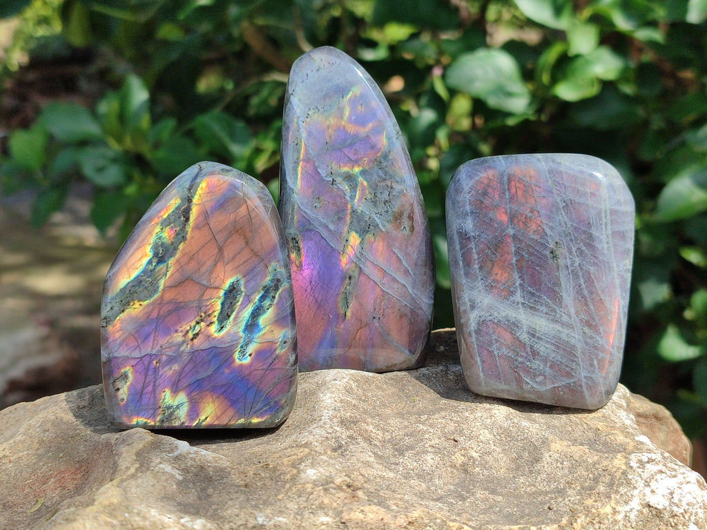 Polished Rare Purple Sunset Flash Labradorite Standing Free Forms x 6 From Madagascar - Toprock Gemstones and Minerals 