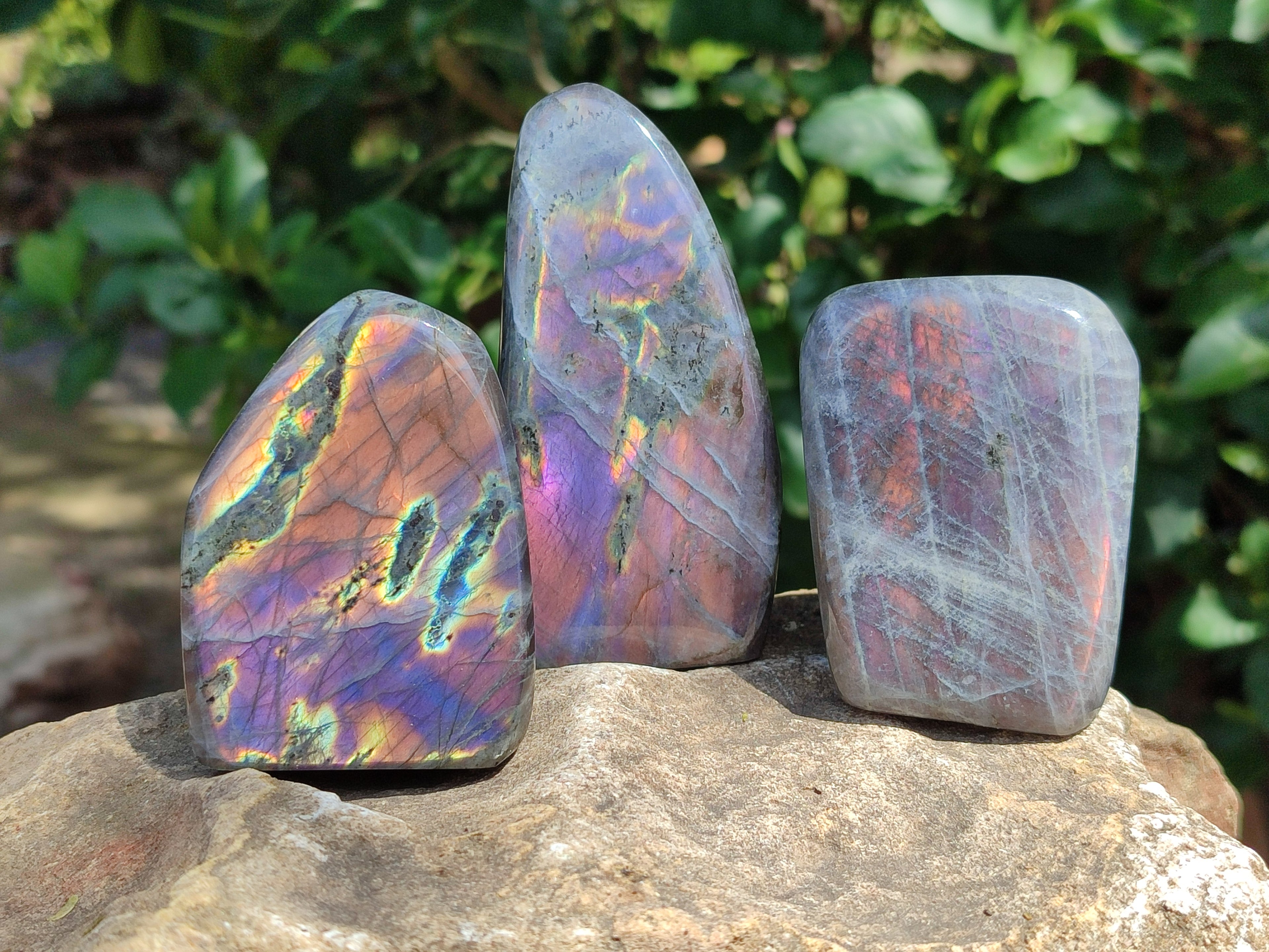 Polished Rare Purple Sunset Flash Labradorite Standing Free Forms x 6 From Madagascar - Toprock Gemstones and Minerals 