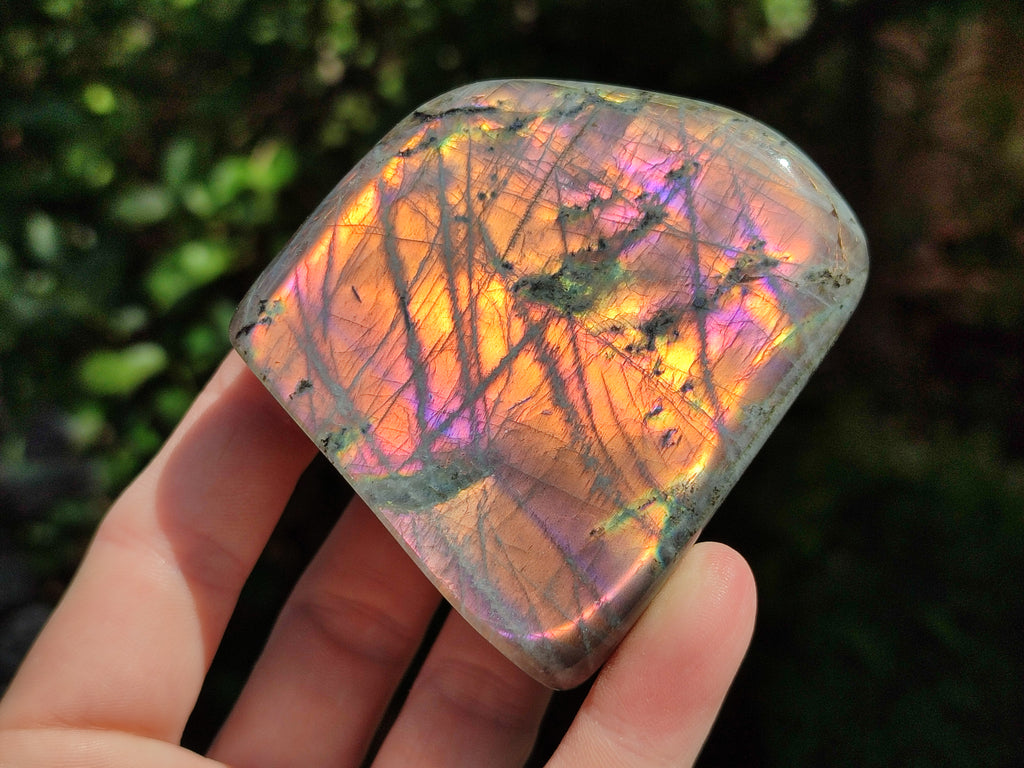 Polished Rare Purple Sunset Flash Labradorite Standing Free Forms x 6 From Madagascar - Toprock Gemstones and Minerals 
