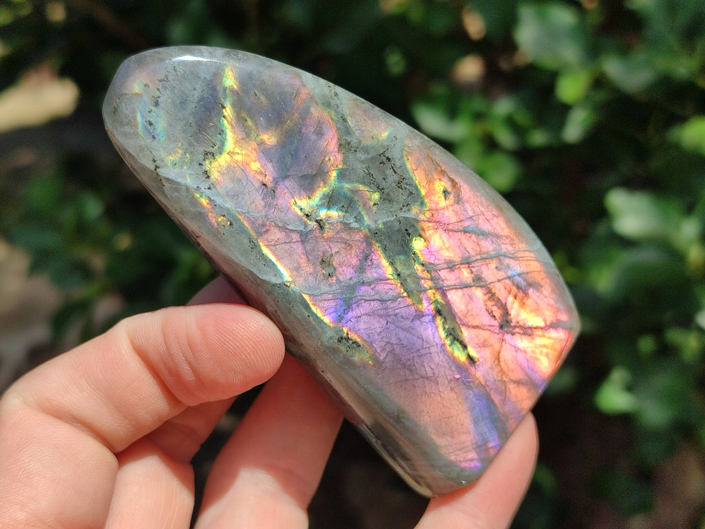 Polished Rare Purple Sunset Flash Labradorite Standing Free Forms x 6 From Madagascar - Toprock Gemstones and Minerals 