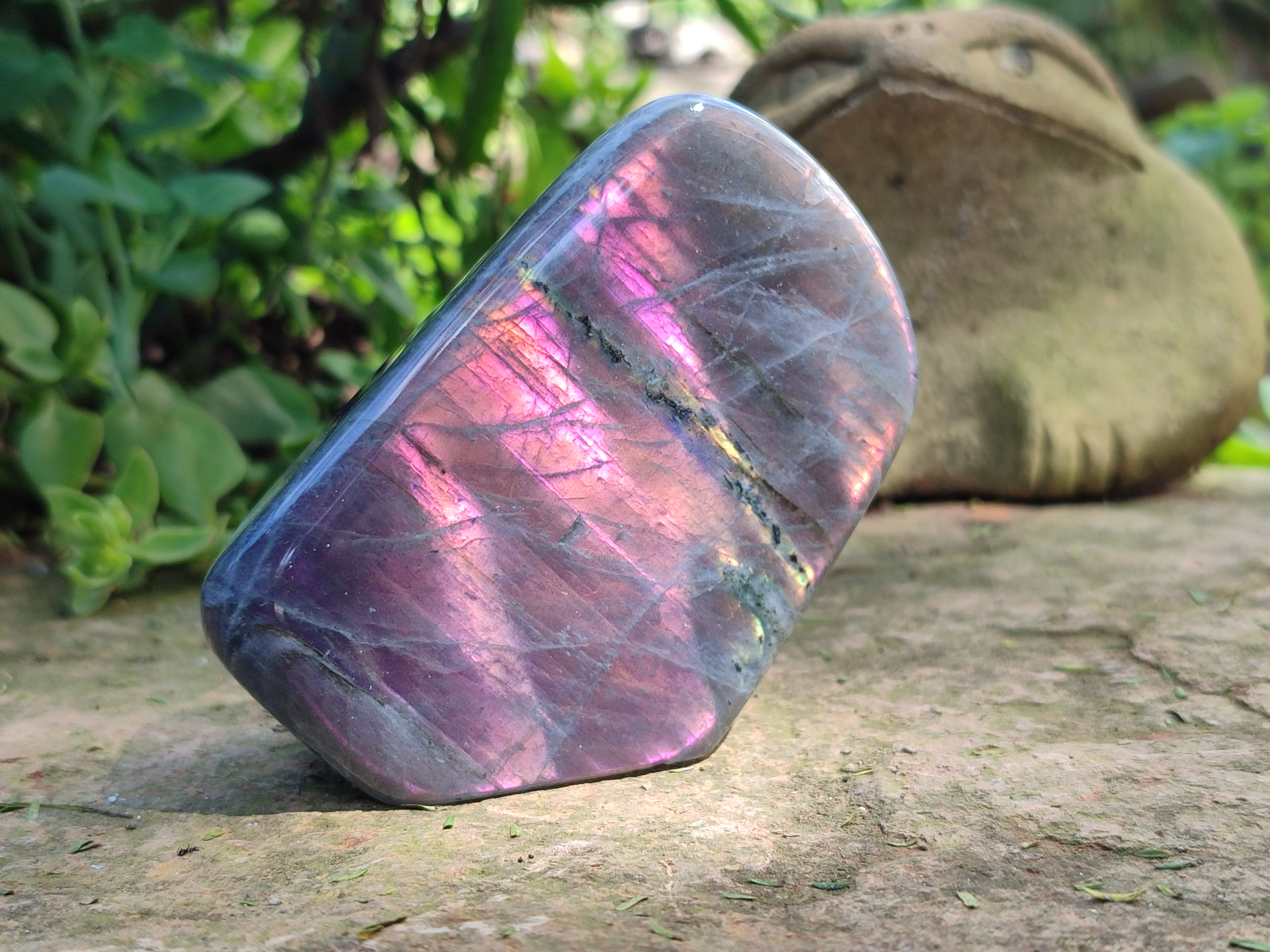 Polished Rare Purple Sunset Flash Labradorite Standing Free Forms x 6 From Madagascar - Toprock Gemstones and Minerals 