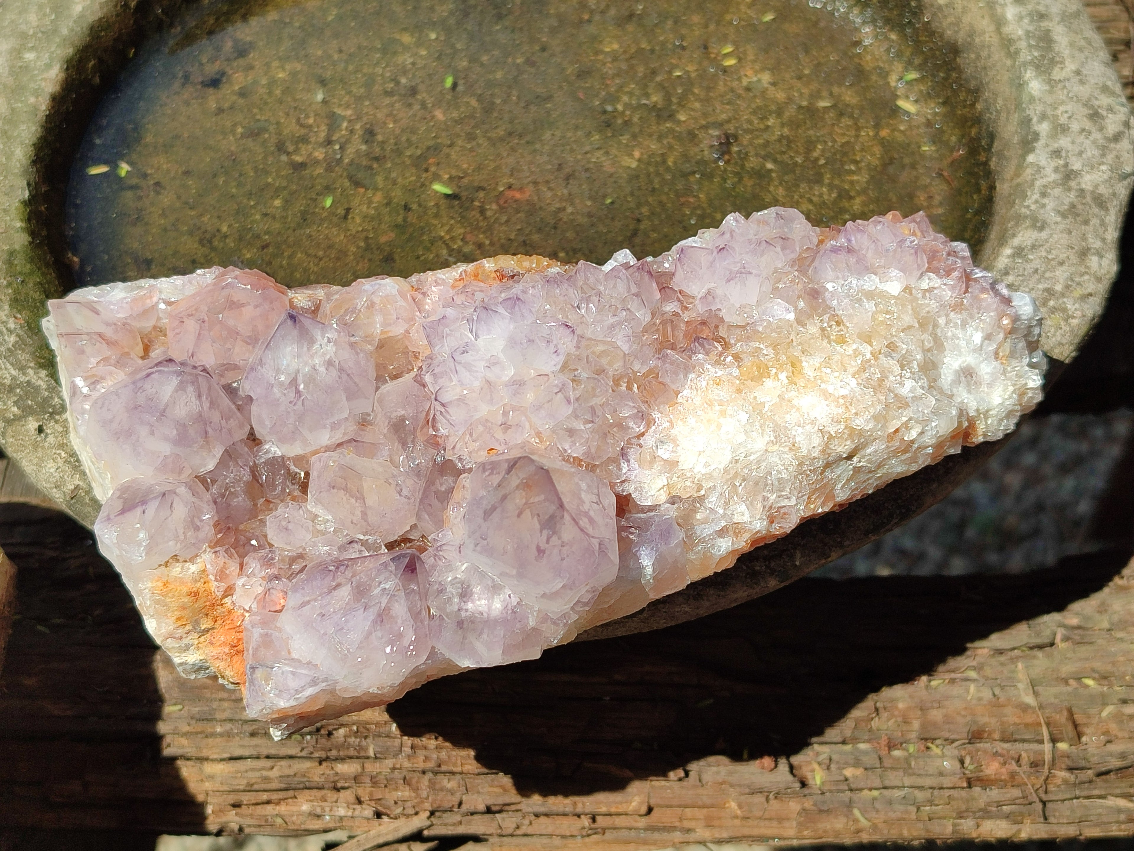 Natural Cactus Flower Smokey Amethyst Spirit Clusters x 2 From South Africa - Toprock Gemstones and Minerals 