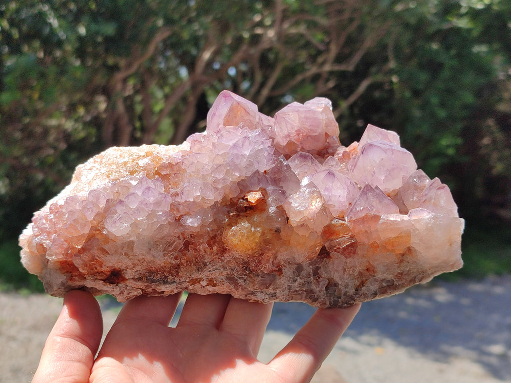 Natural Cactus Flower Smokey Amethyst Spirit Clusters x 2 From South Africa - Toprock Gemstones and Minerals 