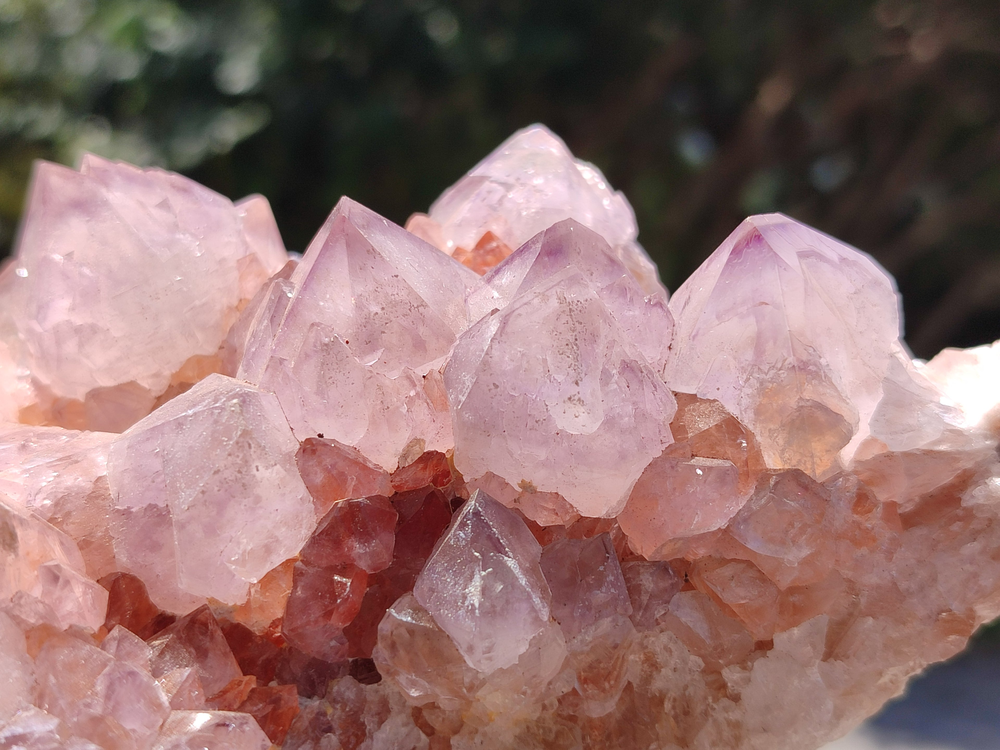 Natural Cactus Flower Smokey Amethyst Spirit Clusters x 2 From South Africa - Toprock Gemstones and Minerals 