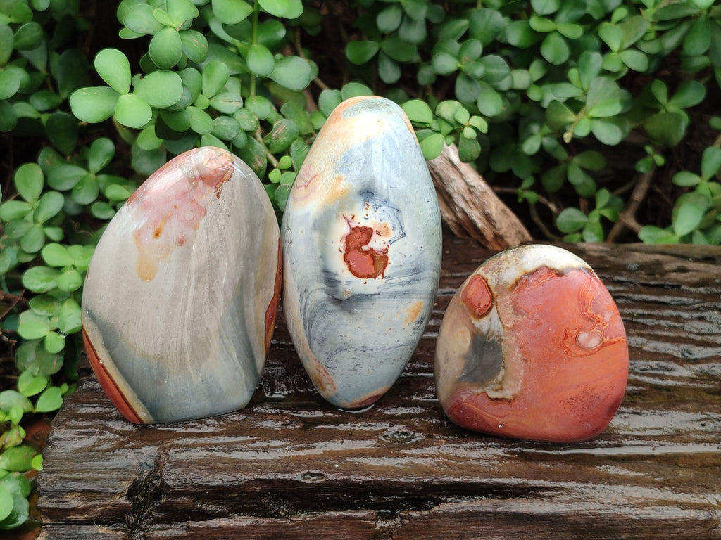 Polished Polychrome Jasper Standing Free Forms x 3 From NW Coast, Madagascar - Toprock Gemstones and Minerals 