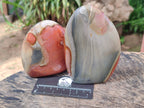 Polished Polychrome Jasper Standing Free Forms x 3 From NW Coast, Madagascar - Toprock Gemstones and Minerals 